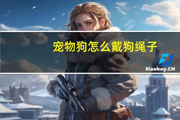 宠物狗怎么戴狗绳子