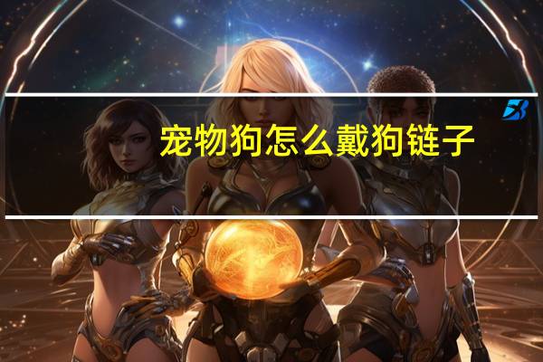 宠物狗怎么戴狗链子