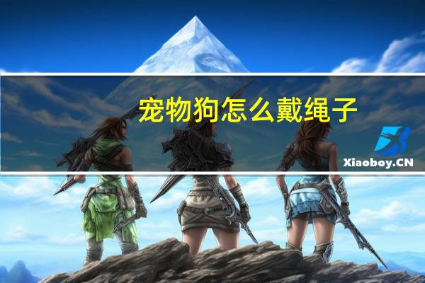 宠物狗怎么戴绳子