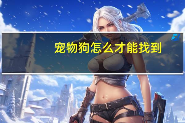宠物狗怎么才能找到