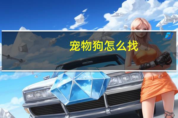 宠物狗怎么找