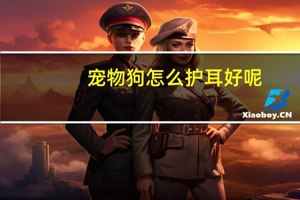 宠物狗怎么护耳好呢