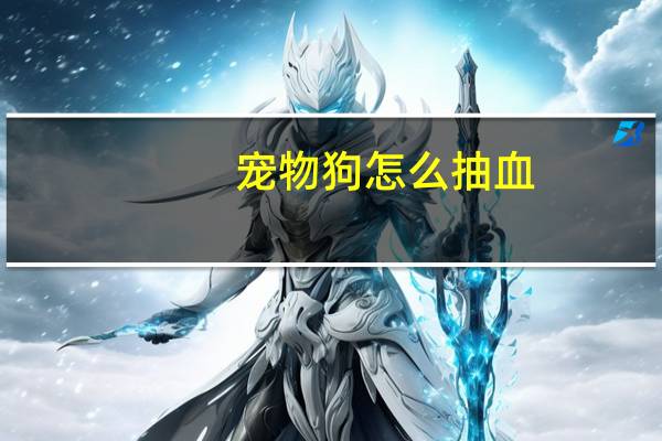 宠物狗怎么抽血