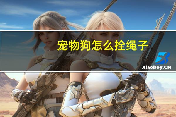 宠物狗怎么拴绳子