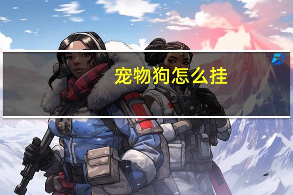 宠物狗怎么挂