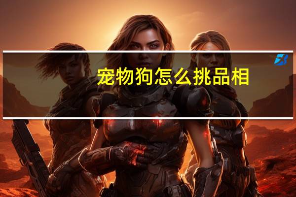 宠物狗怎么挑品相