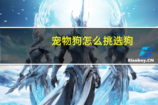 宠物狗怎么挑选狗