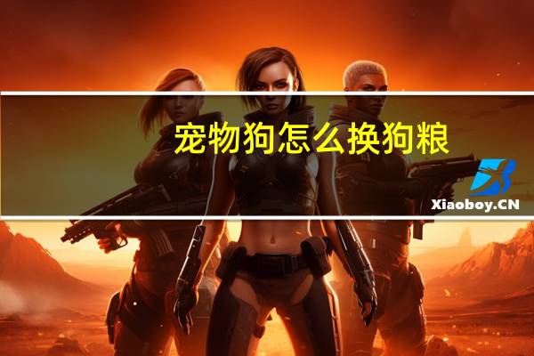 宠物狗怎么换狗粮
