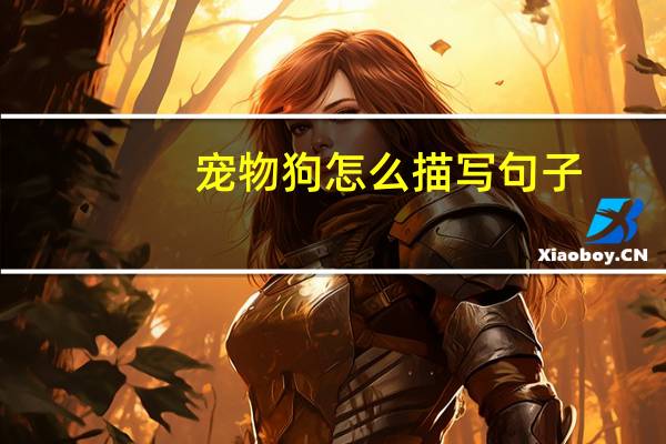 宠物狗怎么描写句子