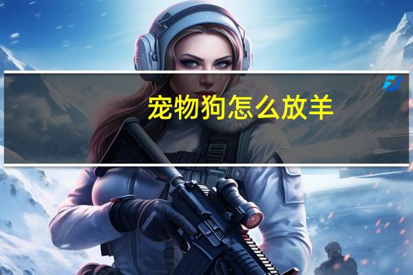 宠物狗怎么放羊