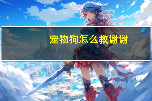 宠物狗怎么教谢谢
