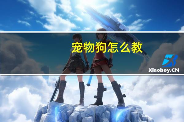 宠物狗怎么教