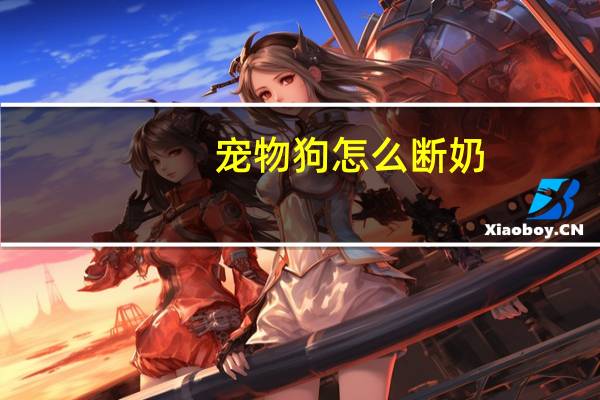 宠物狗怎么断奶