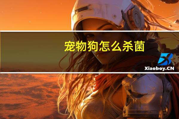 宠物狗怎么杀菌