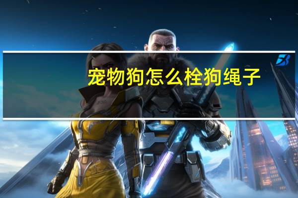 宠物狗怎么栓狗绳子