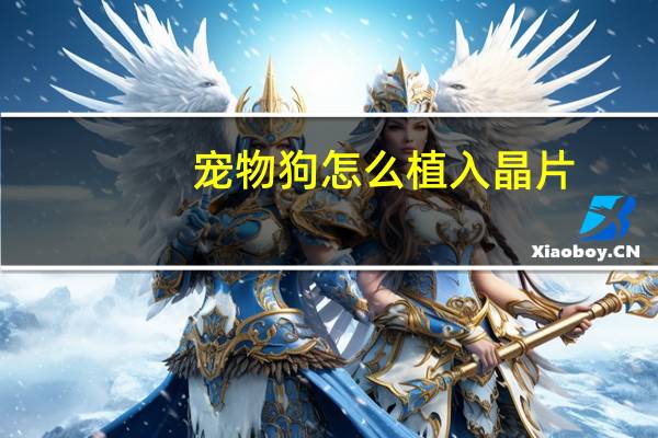 宠物狗怎么植入晶片