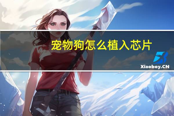 宠物狗怎么植入芯片