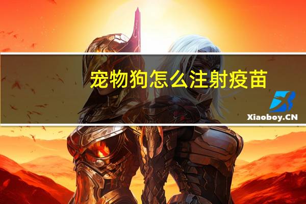 宠物狗怎么注射疫苗