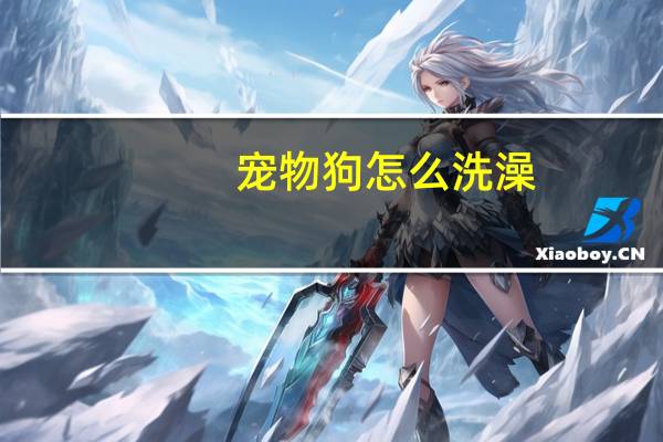 宠物狗怎么洗澡