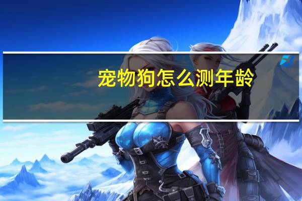 宠物狗怎么测年龄
