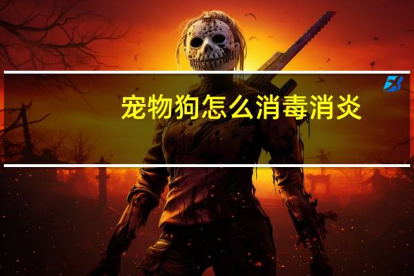 宠物狗怎么消毒消炎