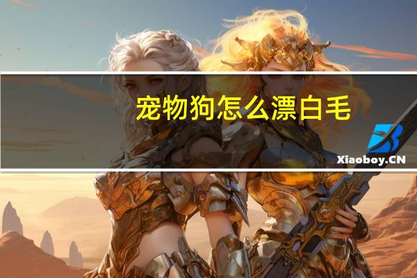宠物狗怎么漂白毛
