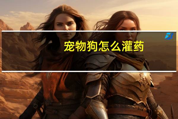 宠物狗怎么灌药