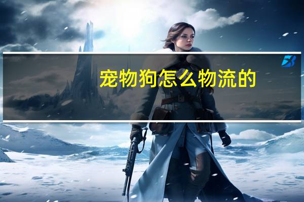 宠物狗怎么物流的