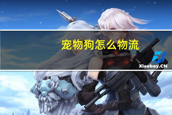 宠物狗怎么物流