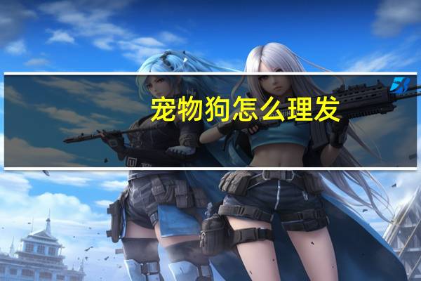 宠物狗怎么理发