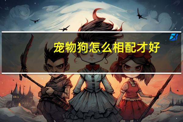 宠物狗怎么相配才好