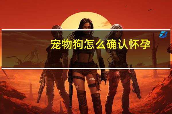 宠物狗怎么确认怀孕