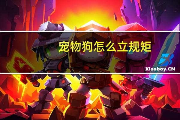 宠物狗怎么立规矩