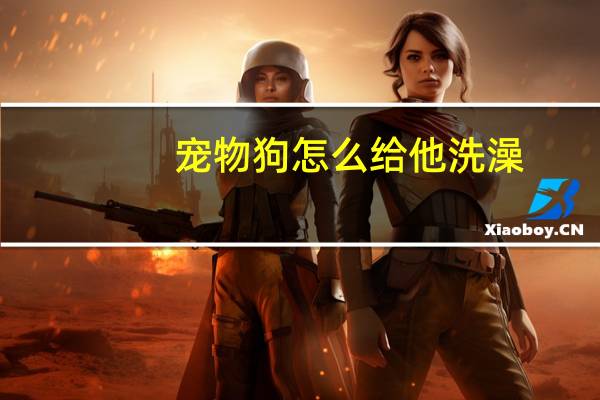 宠物狗怎么给他洗澡