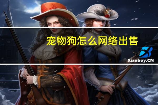 宠物狗怎么网络出售