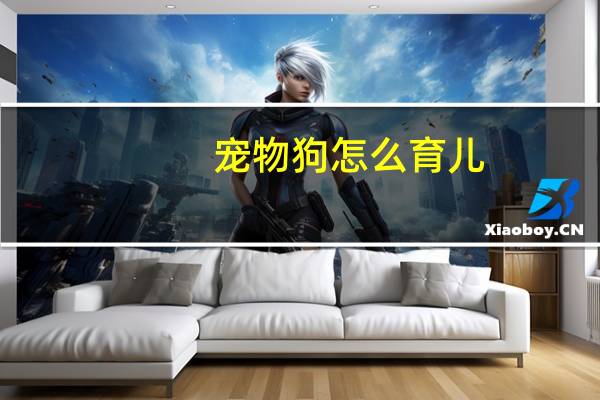 宠物狗怎么育儿