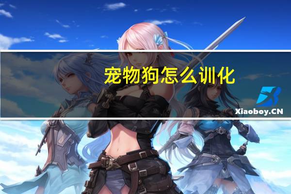 宠物狗怎么训化