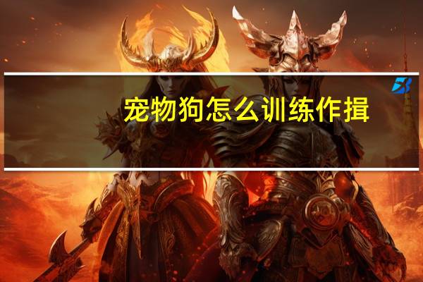 宠物狗怎么训练作揖