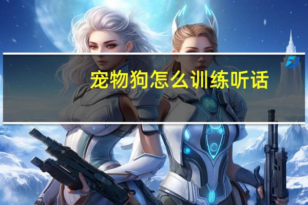 宠物狗怎么训练听话