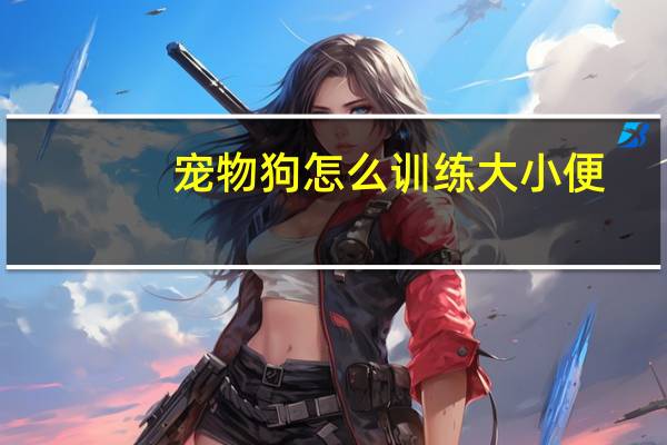宠物狗怎么训练大小便