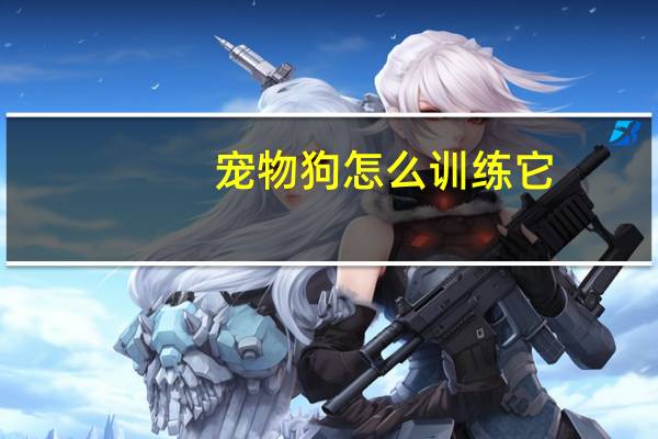 宠物狗怎么训练它