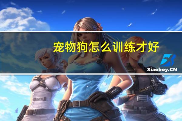 宠物狗怎么训练才好