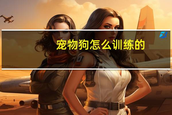 宠物狗怎么训练的