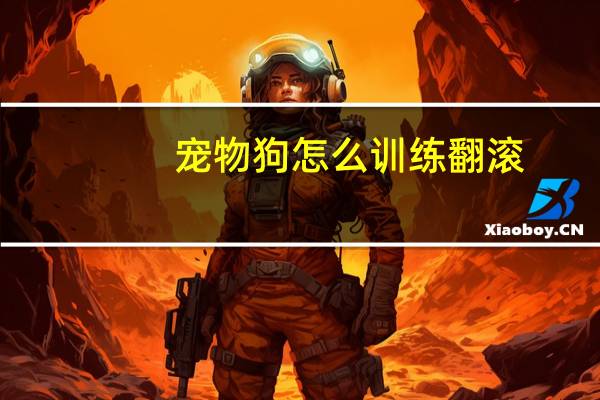 宠物狗怎么训练翻滚