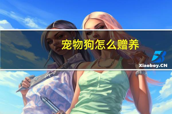 宠物狗怎么赠养