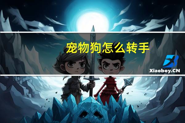 宠物狗怎么转手