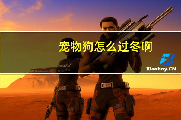 宠物狗怎么过冬啊