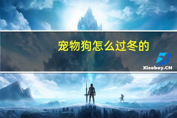 宠物狗怎么过冬的