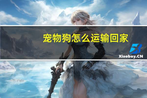 宠物狗怎么运输回家