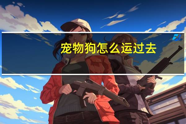 宠物狗怎么运过去